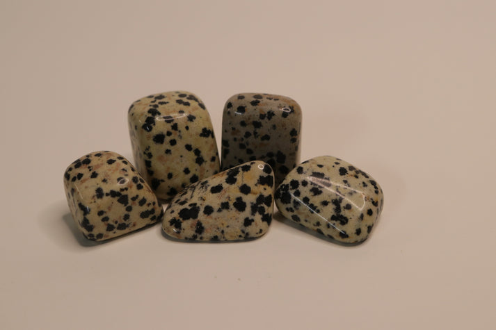 Tumbled Dalmation Jasper